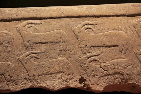 Carved stone goat pattern design, National Museum of Archaeology, Valletta, Malta, Europe