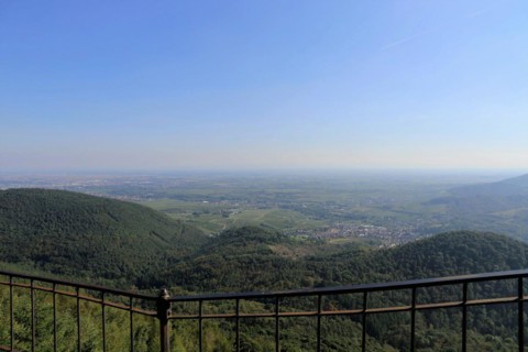 View of the Rhine plain from the summit plateau of the Orensberg (southern Wine Route)