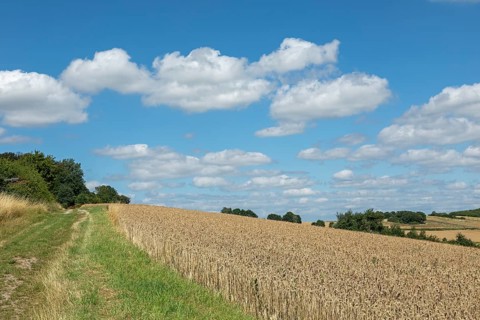 Fields, Landscape, Wittenburg, Elze, Lower Saxony, Germany, Europe