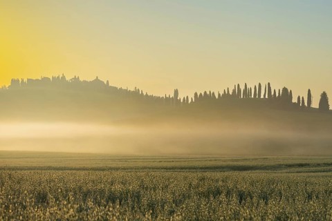Sunrise in the Crete Senesi, Province of Siena, Tuscany, Italy, Europe