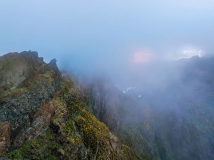 A mountain covered in fog and clouds with blooming Cytisus shrubs. Near Pico de Arieiro, Madeira