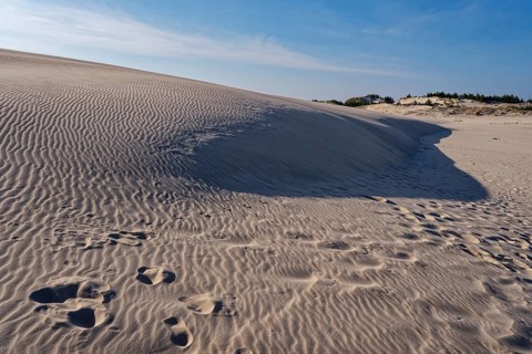 Dune landscape around the Lontz Dune, Wydma Lacka, the largest travelling dune on the Polish Baltic