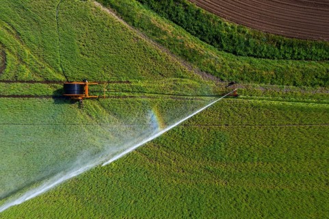Irrigation of a wheat field on the Lower Rhine, with a mobile irrigation machine, large-area