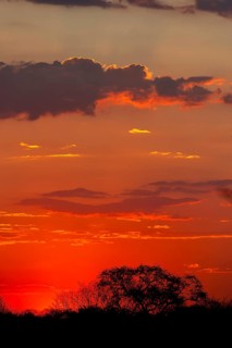 African sunset, sun, evening sky, romantic, romance, longing, emotion, travel, holiday, red sky,