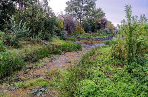 The Warta Estuary National Park, Park Narodowy Ujscie Warty, where the Warta flows into the Oder.