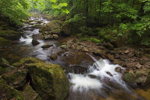 Ilse creek running in the Ilse valley, Ilsetal at the Harz National Park in summer, Saxony-Anhalt,