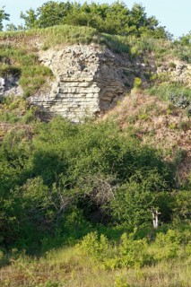 Bee-eater (Merops apiaster), marl quarry, biotope of the bee-eater, breeding area for bee-eaters,