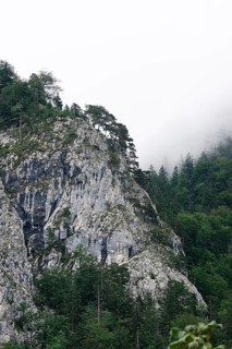 Mountain world near Kochel am See, August, Bavaria, Germany, Europe