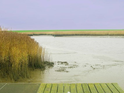 Low tide, mudflats, Dollart, Nieuwe Statenzijl, Netherlands