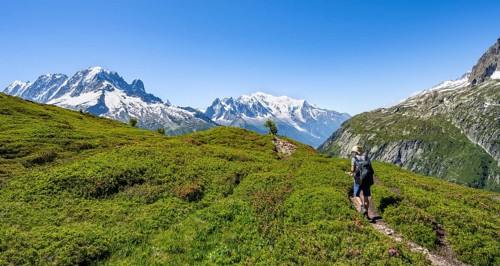 Mountaineer on hiking trail, mountain panorama with glaciated mountain peaks, Aiguille Verte with