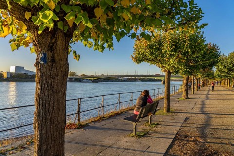 The Rhine near Bonn, the riverside promenade of Bonn-Beuel with the Kennedy Bridge in the
