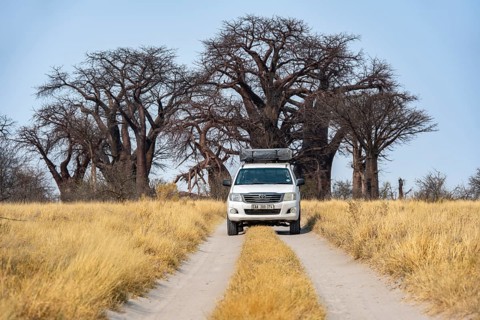 Four-wheel drive vehicle with roof tent on a track, yellow grass and baobabs at a dry salt pan,