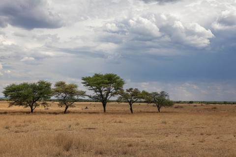 Landscape near the Waterberg region, Namibia, Africa