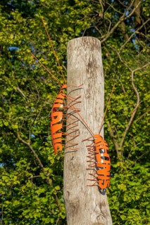 Metal crawling animals on a wooden trunk, art, Hanover, Lower Saxony, Germany, Europe