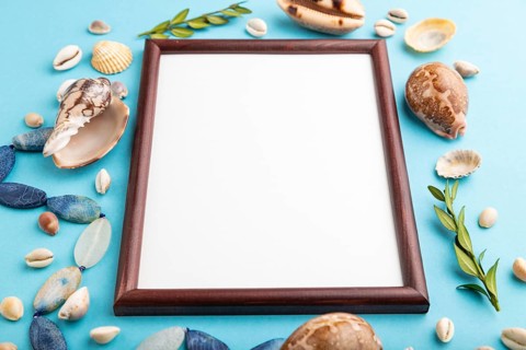 Composition with wooden frame, seashells, green boxwood. mockup on blue pastel background. Blank,