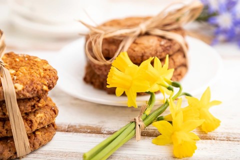 Oatmeal cookies with spring snowdrop flowers bluebells, narcissus and cup of coffee on white wooden