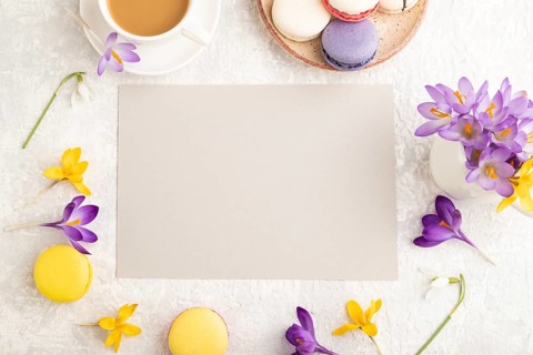 Beige paper sheet mockup with spring snowdrop crocus flowers and multicolored macaroons on gray