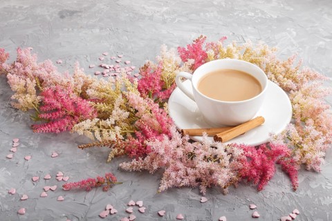 Pink and red astilbe flowers and a cup of coffee on a gray concrete background. Morninig, spring,