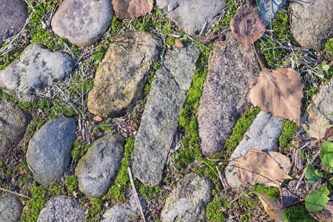 Texture of a boulder with moss and lichen
