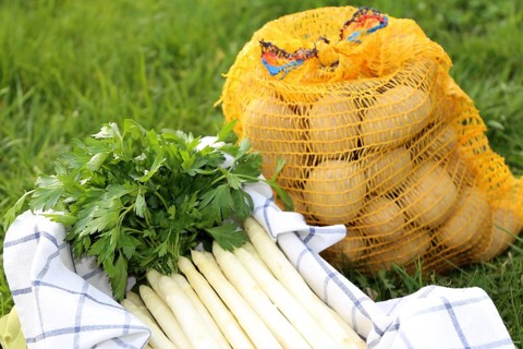 Asparagus and potatoes decorated in grass