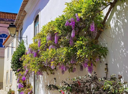 Cascais scenic streets in historic center
