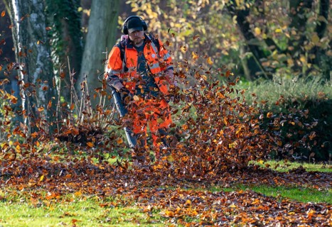 Leaf blower, removal of autumn leaves in a municipal park, Duisburg, North Rhine-Westphalia,