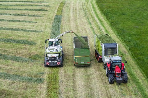 Hay harvest, on a Rhine meadow near Duisburg-Beeckerwerth, a forage harvester picks up the cut