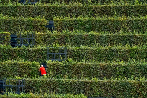 Green façade, made of over 30, 000 hornbeams forming a hedge a good 8 kilometres long, on the roof