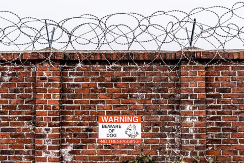 Company premises, wall secured with rolls of barbed wire, signpost for guard dog on the premises
