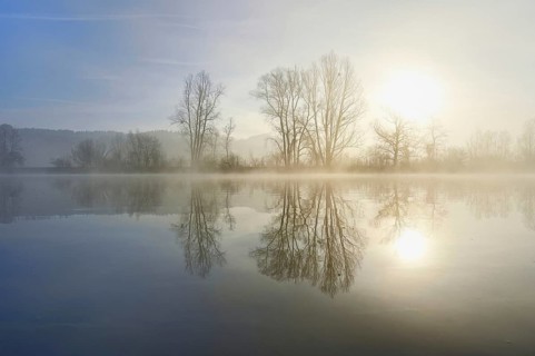 Trees reflected in the shallow lake at sunrise, nature reserve, Rottenschwil, Freiamt, Canton