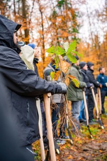 People holding seedlings in autumn forest ready for planting, tree planting campaign, Waldbike