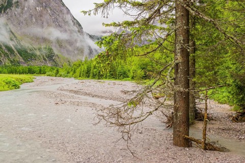 Enger-Grund creek, Eng valley, Tyrol, Austria, Europe