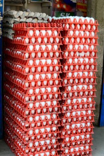 Fort Cochin, Cochin, Kerala, South India, India, Asia, Stacked eggs in red plastic trays at the