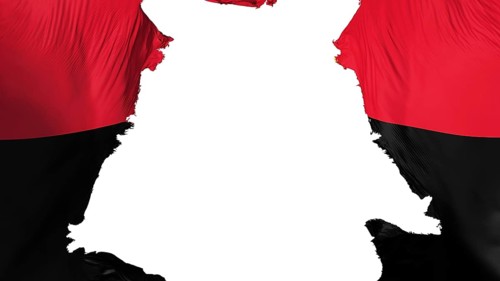 Angola flag ripped apart, white background, 3d rendering