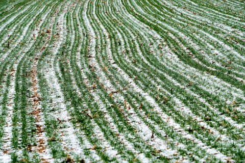 Agricultural fields in winter, Oberweser, Upper Weser Valley, Weser Uplands, Weserbergland, Hesse,
