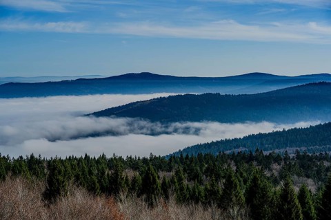 Panorama over wooded hills and a valley shrouded in mist, Hirschenstein, Lower Bavaria