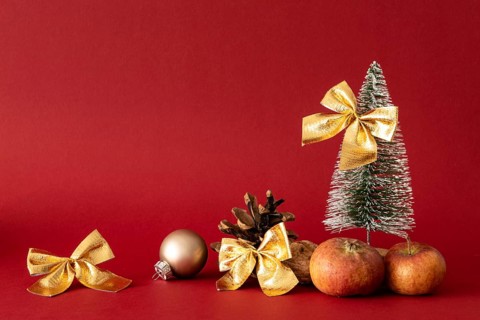 Christmas decoration with a fir tree on red background