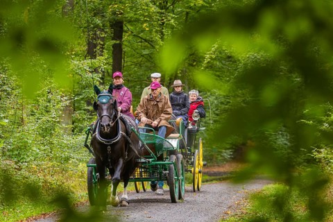 Presentation and route ride, all carriages in stylish tension, popular sporting event over approx.
