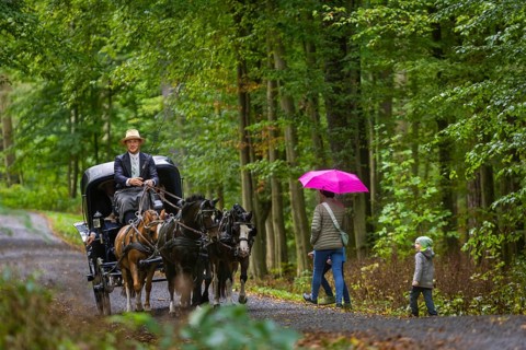 Presentation and route ride, all carriages in stylish tension, popular sporting event over approx.