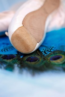 Ballet shoes, pointe shoes on peacock feathers, still life, dance shoes covered with satin in light