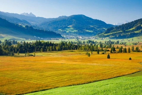 View over the Rothenthurm high moor with the village of Rothenthurm in the background, Schwyz,