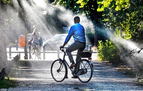 A cyclist cools down with a lawn sprinkler in Berlin's Tiergarten, 03/08/2022