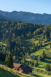 Urnäsch, mountain inn, path, mountain pasture, forest, Canton Appenzell, Ausserrhoden, Appenzell
