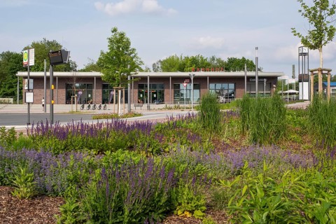 Railway station with flower bed, Dülmen, Münsterland, North Rhine-Westphalia, Germany, Europe