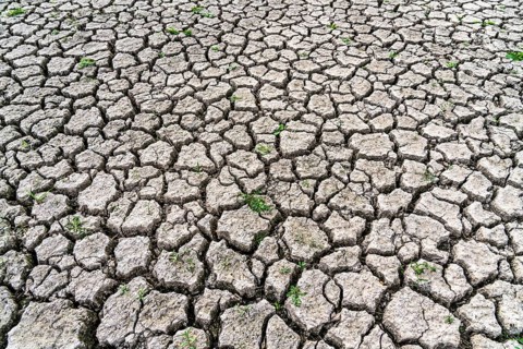 Dry ground, cracked, dried-up riverbed, in a branch of the Rhine, near Duisburg