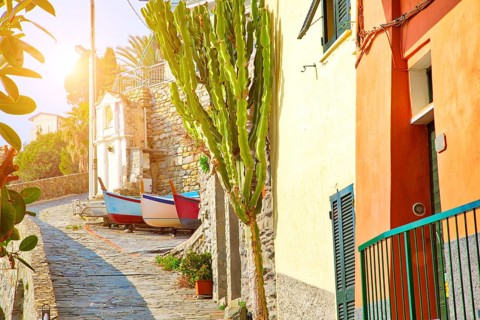 Manarola colorful scenic streets
