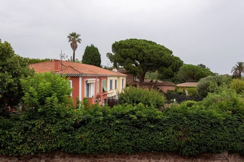 Traditional house in Fréjus, with pine trees and palm trees behind, Fréjus, Var,