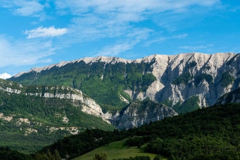 Lure plateau (1825m), Alpes de Haute Provence, Provence-Alpes-Côtes d'Azur, France, Europe