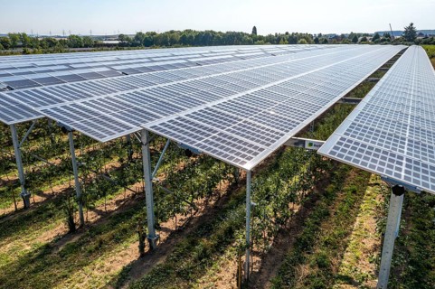 Agri-photovoltaic test plant, an apple orchard with two different systems of PV modules was roofed