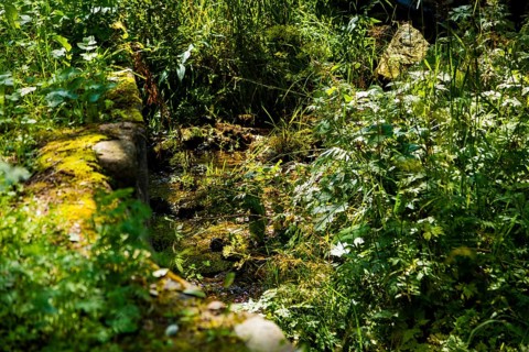 Mine water trench at the Zinnwald visitor mine, Zinnwald, Zinnwald, Saxony, Germany, Europe